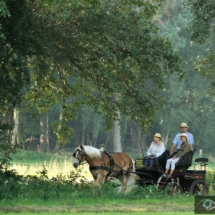 1 IMG_9792 (5)